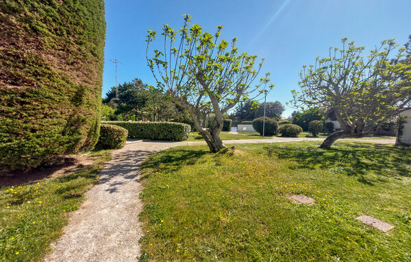 Domy wakacyjne - Ile de Ré , Francja - FCH556 104