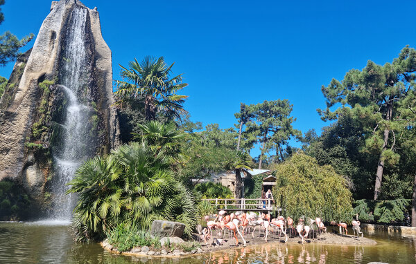 Ferienhaus - Saint-Georges-de-Didonne , Frankreich - FCH558 906