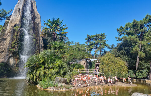 Casa vacanze - Royan , Francia - FCH588 903
