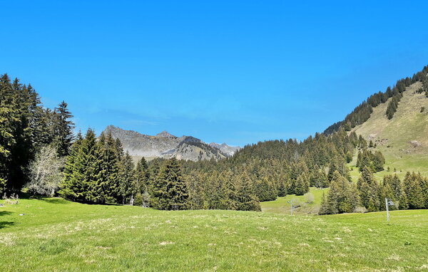 Location de vacances - Mieussy , France - FCS007 903
