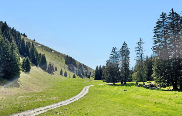 Location de vacances - Mieussy , France - FCS007 905