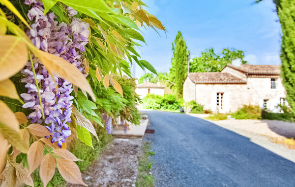 Holiday Home - Lussac , France - FCS020 103