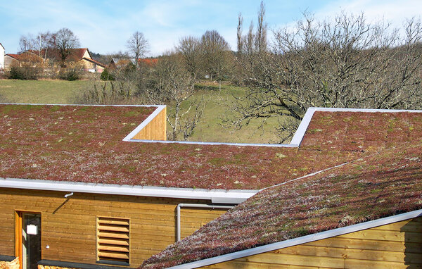 Semesterhus - Antonne-et-Trigonant , Frankrike - FCS053 101