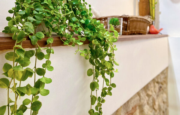 Location de vacances - Saint Sauveur de Cruzières , France - FCS068 503