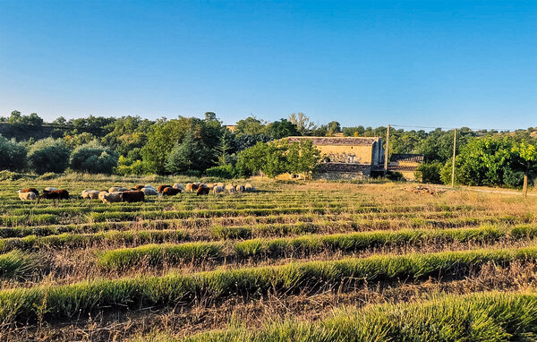 Location de vacances - Saint Sauveur de Cruzières , France - FCS069 112