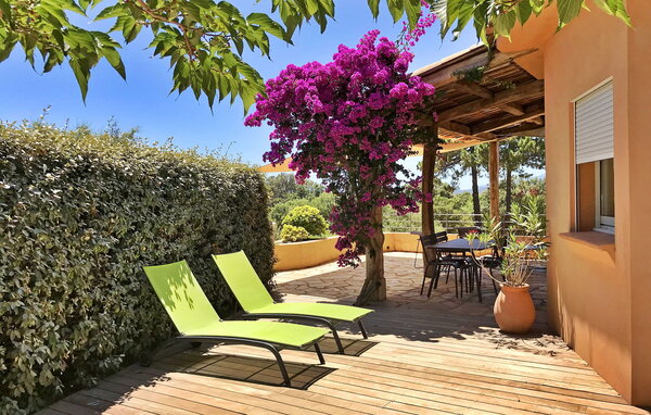 Vakantiehuis - St Cyprien, Pinarello , Frankrijk - FCS075 9