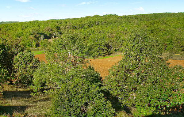Location de vacances - Florimont-Gaumier , France - FCS107 901
