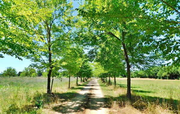 Location de vacances - Domme , France - FCS152 903
