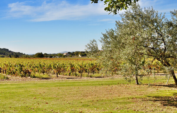 Vakantiehuis Cendrons 4