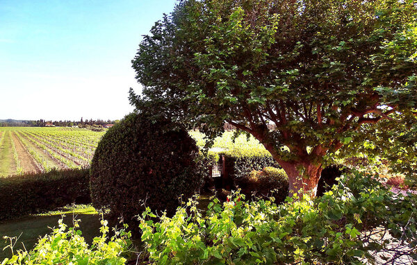 Maison Le Mas De La Vigne