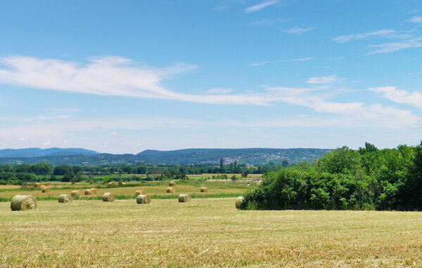Casa de vacaciones - Saint Jean De Maruejols , Francia - FCS258 901