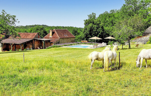 Feriehus - Tourtoirac , Frankrike - FCS262 9