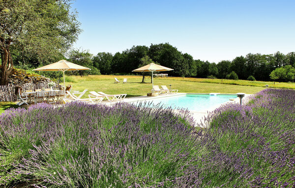 Feriehus - Tourtoirac , Frankrike - FCS262 11