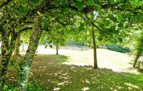 Location de vacances - Saint Georges De Montclard , France - FCS263 101