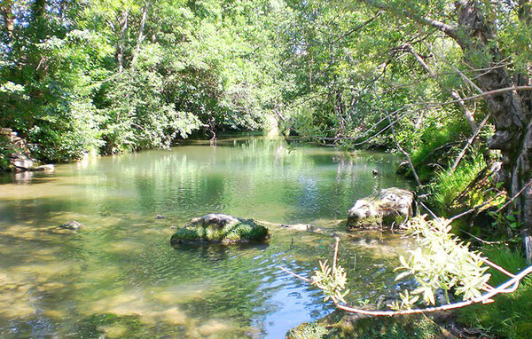 Location de vacances - Saint Jean De Maruejols , France - FCS270 111