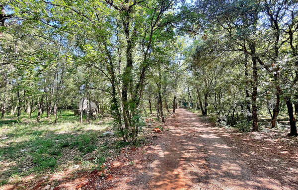Location de vacances - Nans-Les-Pins , France - FCS306 901