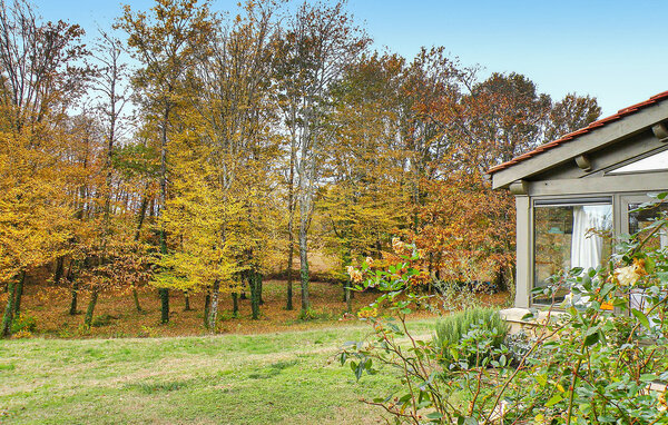 Domy wakacyjne - La Chapelle Aubareil , Francja - FCS318 2