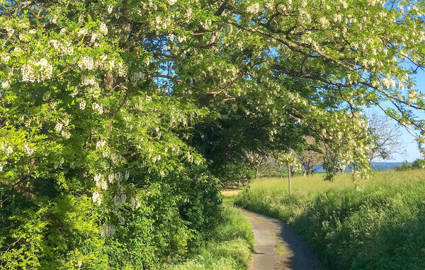 Vakantiehuis - Simeyrols , Frankrijk - FCS343 108