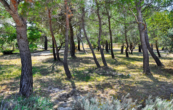 Location de vacances - Cabrières d'Avignon , France - FCS364 107