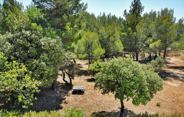 Location de vacances - Cabrières d'Avignon , France - FCS364 112