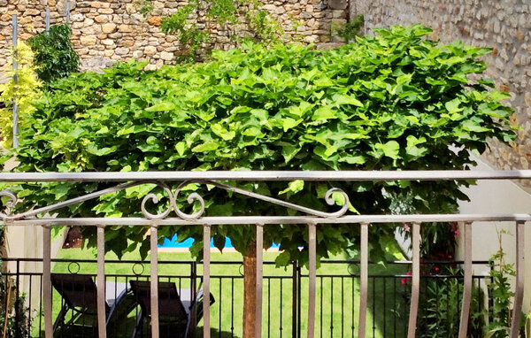 Location de vacances - Cornillon , France - FCS368 4