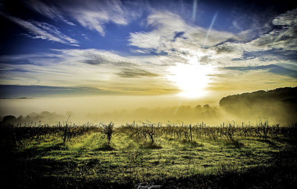 Casa vacanze - Trèbes , Francia - FCS383 904