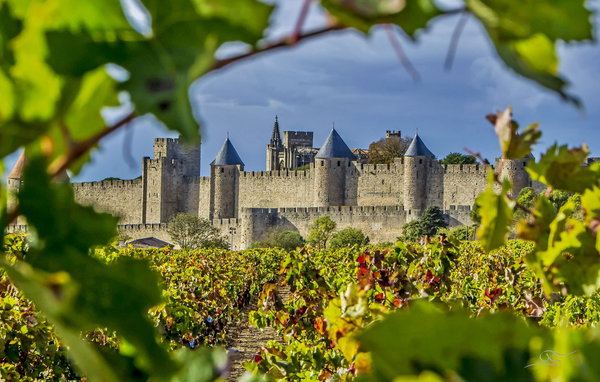 Casa vacanze - Trèbes , Francia - FCS383 905