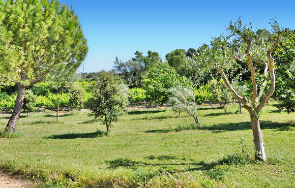 Location de vacances - Saint Roman De Malegarde , France - FCS415 101