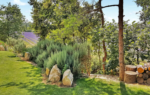 Feriehuse - Montbrison sur Léz , Frankrig - FCS435 102
