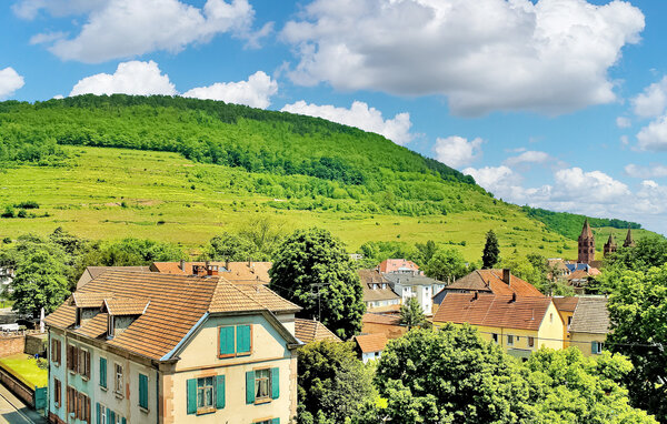 Apartman - Alsace , Francuska - FCS542 7