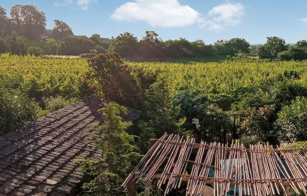 Ferienhaus - Mittelbergheim , Frankreich - FDB039 2