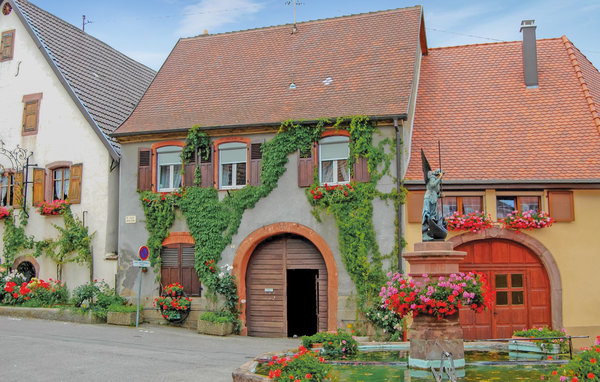 Ferienhaus - Pfaffenheim , Frankreich - FDH002 1