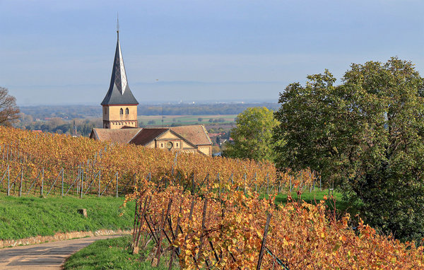 Domy wakacyjne - Knoeringue , Francja - FDH012 901