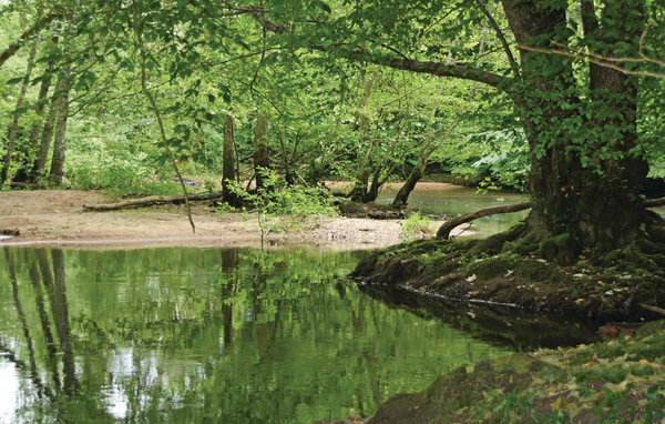 Vakantiehuis 