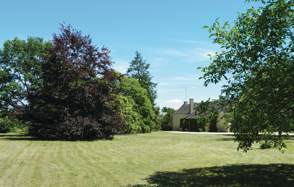 Location de vacances - Bourgueil , France - FEI019 101