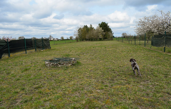 Semesterhus - Channay-sur-Lathan , Frankrike - FEI067 6