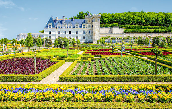 Semesterhus - Château la Vallière , Frankrike - FEI070 901