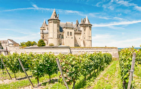 Semesterhus - Château la Vallière , Frankrike - FEI070 903
