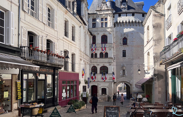 Kuća-za-odmor - Loches , Francuska - FEI087 905