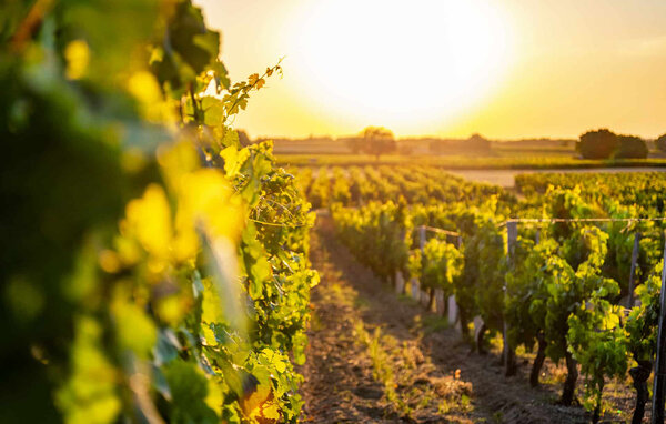 Vakantiehuis - VENDOME , Frankrijk - FEL041 9