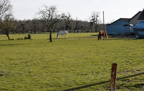 Location de vacances - Briare , France - FER012 905