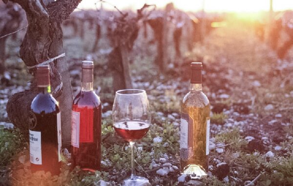 Feriehus - Orleans , Frankrike - FER030 908