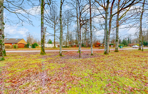 Domy wakacyjne - Égriselles-le-Bocage , Francja - FGY009 103