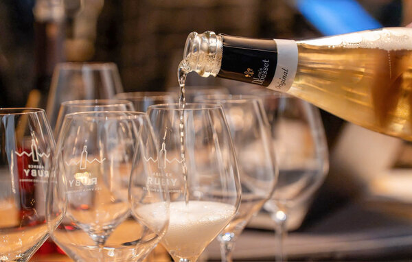 Ferienhaus - Chalons-en-Champagne , Frankreich - FHM002 904