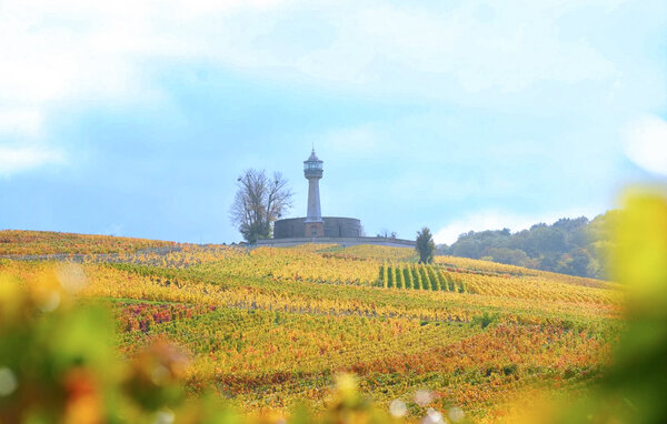 Ferienhaus - Chalons-en-Champagne , Frankreich - FHM002 203