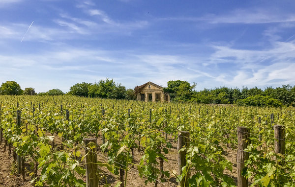 Holiday Home - Jarnac , France - FJC098 904