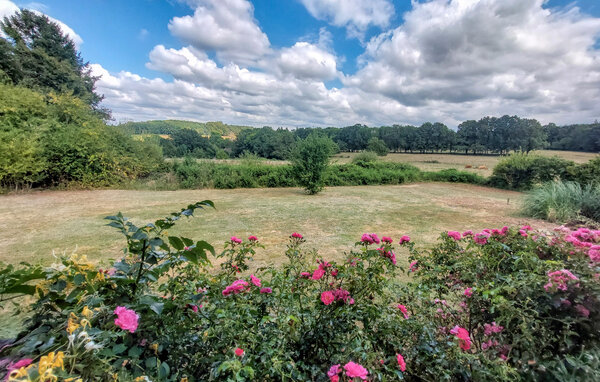 Holiday Home - Ecuras , France - FJC109 201