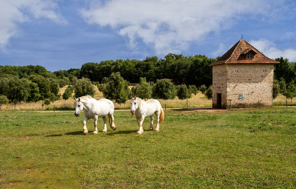 Holiday Home - Lonnes , France - FJC124 902