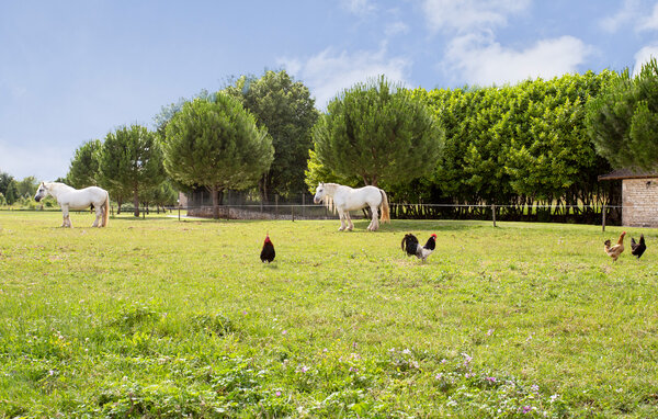 Holiday Home - Lonnes , France - FJC125 901