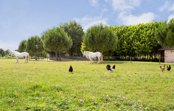 Holiday Home - Lonnes , France - FJC126 901